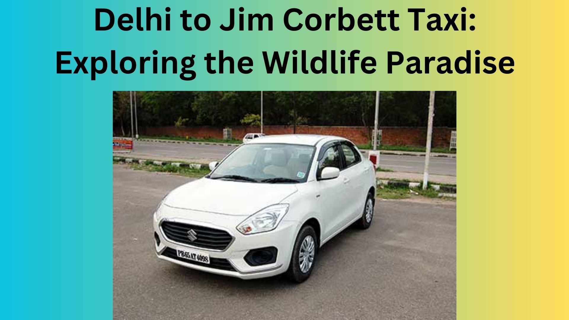 Delhi to Jim Corbett Taxi: Exploring the Wildlife Paradise